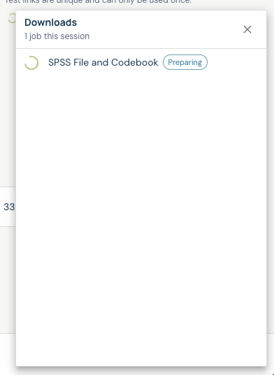 Downloads panel showing an SPSS File and Codebook job preparing in the current session