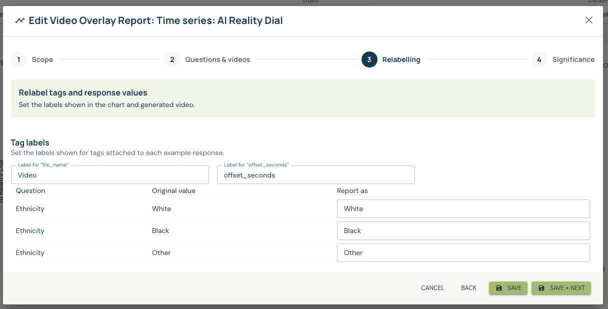 Video Overlay Relabelling with tag labels and ethnicity response labels